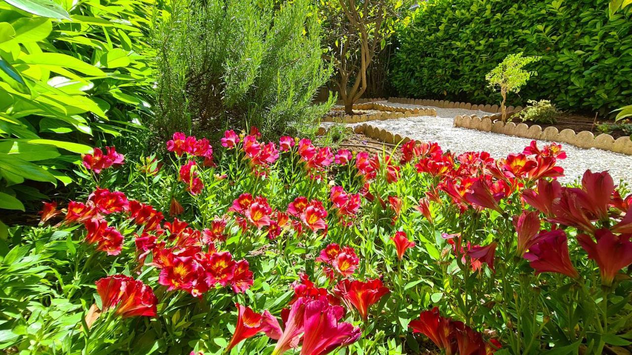 Casalionelantibes 70 Sqm Apartment With Garden And Parking المظهر الخارجي الصورة
