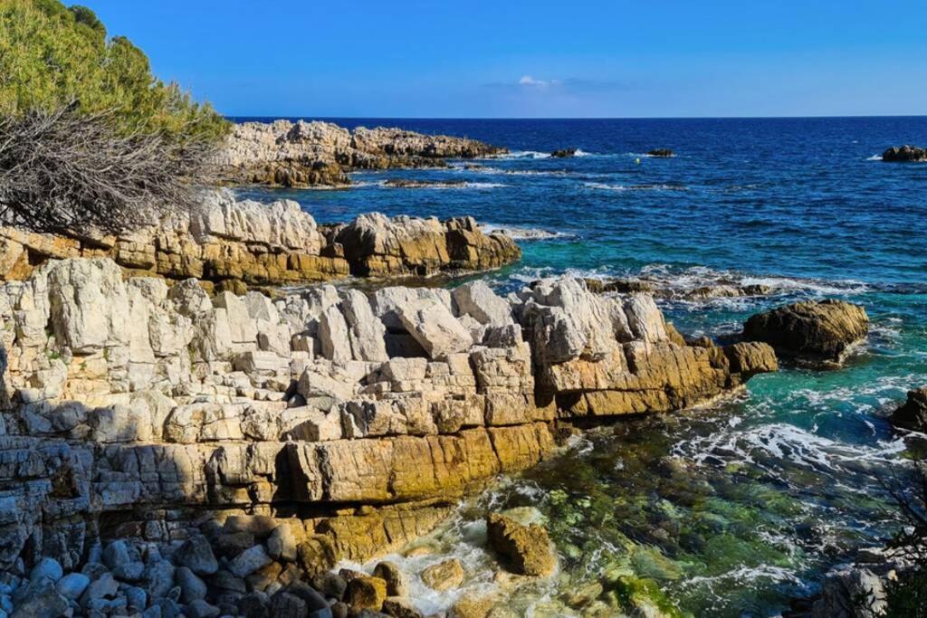 Casalionelantibes 70 Sqm Apartment With Garden And Parking المظهر الخارجي الصورة