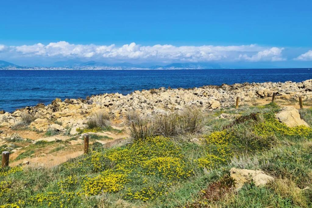 Casalionelantibes 70 Sqm Apartment With Garden And Parking المظهر الخارجي الصورة